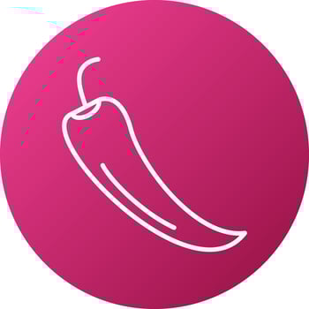 Chilli Pepper Icon Style vector
