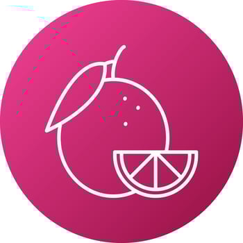Orange Icon Style vector