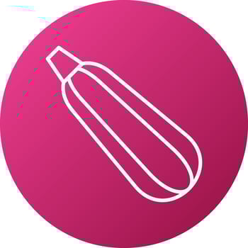 Zucchini Icon Style vector