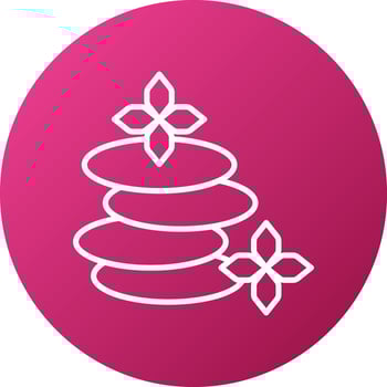 Hot Stone Icon Style vector