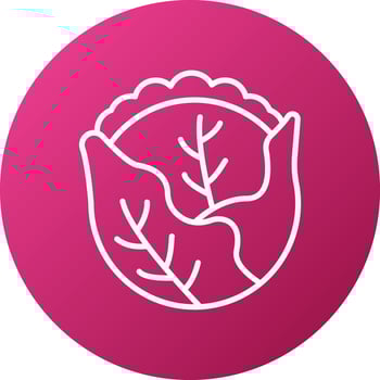 Cabbage Icon Style vector