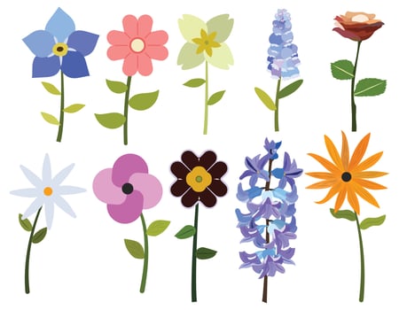 Summer and Spring flowers collection. Colorful flowers for decoration, card, design, nature posts and more. Vector illustration