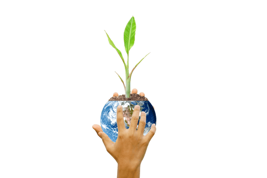 World Environment Day. Earth and trees in human hands. png