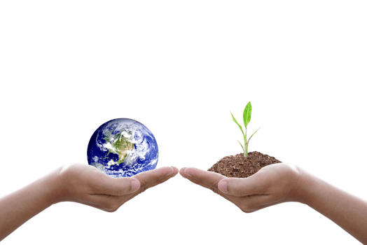 World Environment Day. Earth and trees in human hands. png