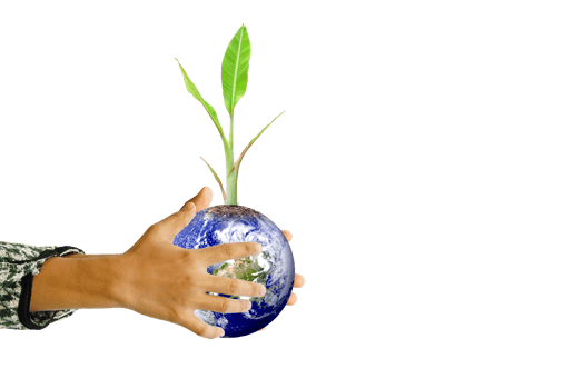 World Environment Day. Earth and trees in human hands. png