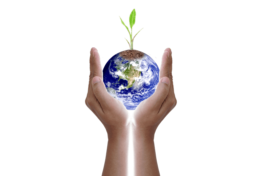 World Environment Day. Earth and trees in human hands. png