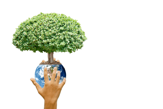 concept of saving the world tree in human hands png