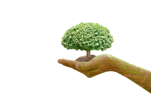 concept of saving the world tree in human hands png