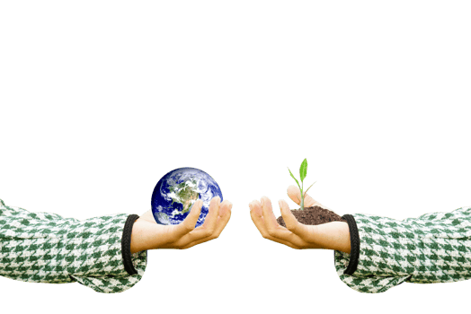 World Environment Day. Earth and trees in human hands. png