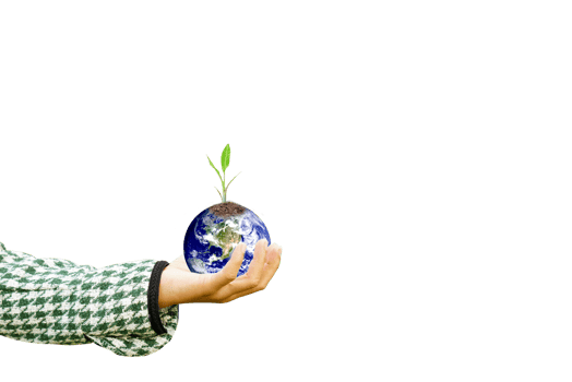 World Environment Day. Earth and trees in human hands. png