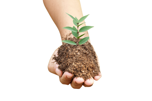 concept of saving the world tree in human hands png