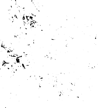 Rustic grunge texture with grain and stains. Abstract noise background. PNG graphic illustration with transparent background.