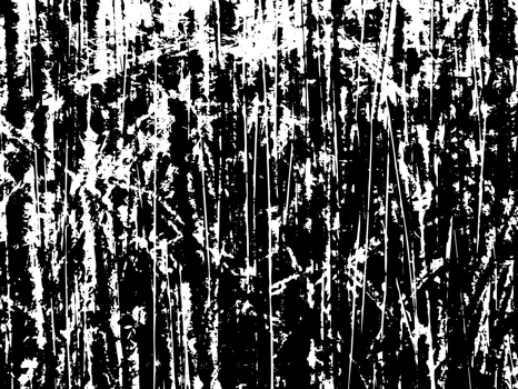 Rustic grunge texture with grain and stains. Abstract noise background. PNG graphic illustration with transparent background.