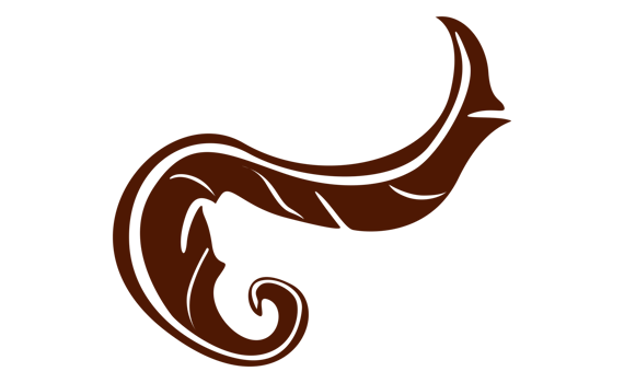Design Elements - Brown Bird Feather With Transparent Background png