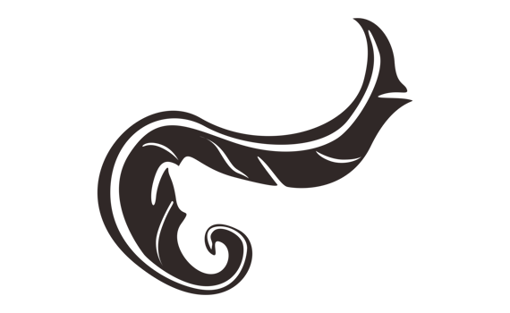 Design Elements - Black Bird Feather With Transparent Background png
