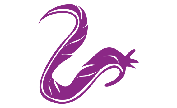 Design Elements - Purple Bird Feather With Transparent Background png