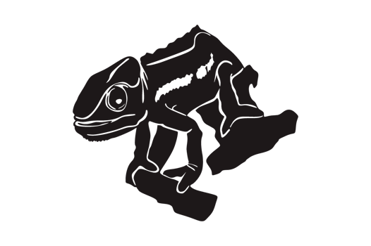 Black Silhouette Of Chameleon png