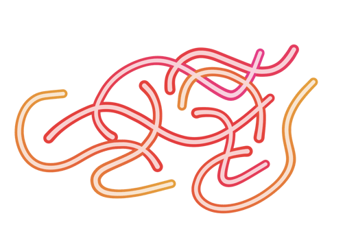 Line Design Simple For Decoration png