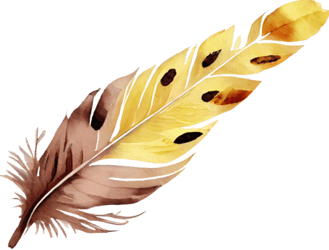 Colorful Feather Watercolor png
