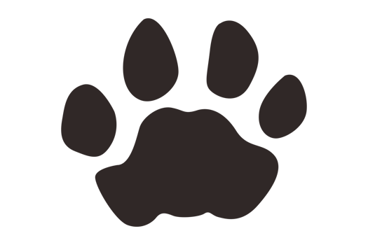 Dog and Cat Paw png