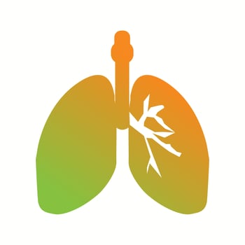 Beautiful Lungs Vector Glyph icon