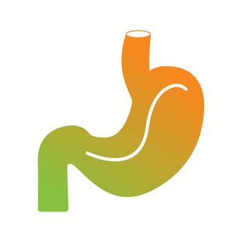 Beautiful Stomach Vector Glyph icon