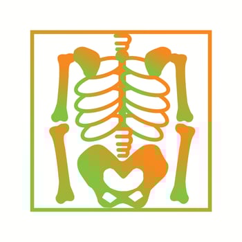 Beautiful Skeleton Vector Glyph icon