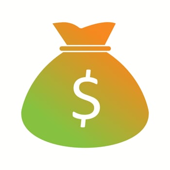 Beautiful Money bag Vector Glyph icon