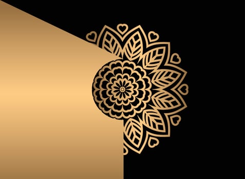 Mandala. Ethnic decorative element. Hand drawn backdrop. Islam, Arabic, Indian, ottoman motifs. vector
