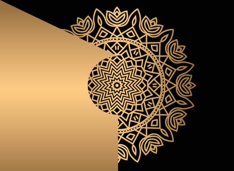 Mandala. Ethnic decorative element. Hand drawn backdrop. Islam, Arabic, Indian, ottoman motifs. vector