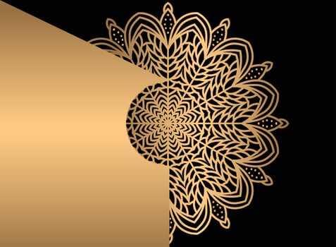 Mandala. Ethnic decorative element. Hand drawn backdrop. Islam, Arabic, Indian, ottoman motifs. vector