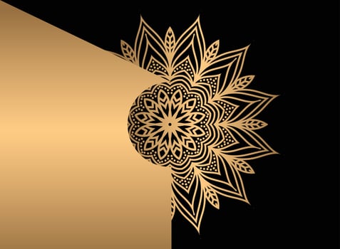 Mandala. Ethnic decorative element. Hand drawn backdrop. Islam, Arabic, Indian, ottoman motifs. vector