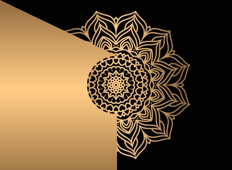 Mandala. Ethnic decorative element. Hand drawn backdrop. Islam, Arabic, Indian, ottoman motifs. vector