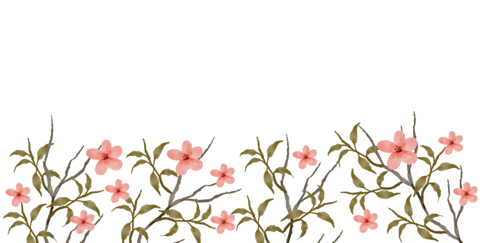 beautiful and elegant botanical watercolor border png