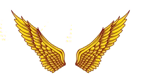 Vector yellow angel wings illustration design
