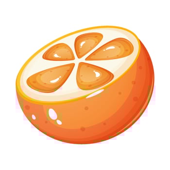 Cartoon style juicy orange slice. vector