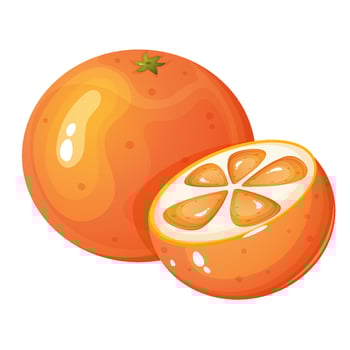 Cartoon style orange and orange slice. vector