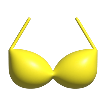 3d icon of bra png