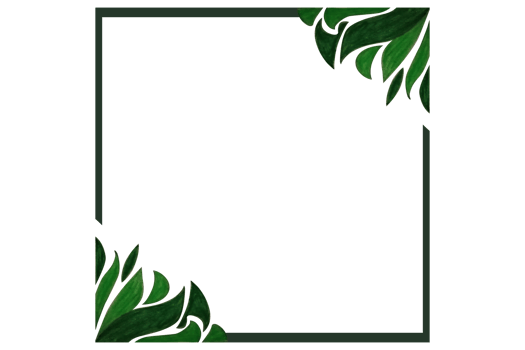 Green Leaf Flora Ornament Border Design png