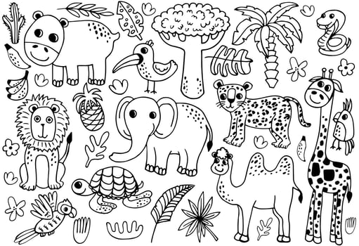 Outline wild safari animals vector illustration for coloring. Jungle animals line art including turtle, tiger, zebra, giraffe, lion, elephant, snake.