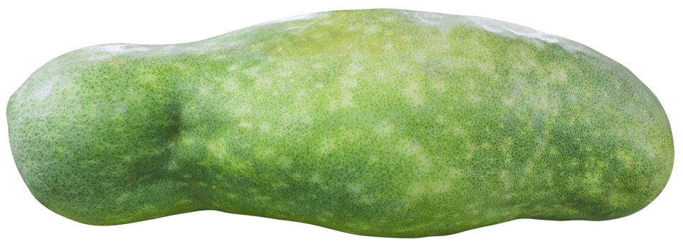 big green winter melon png