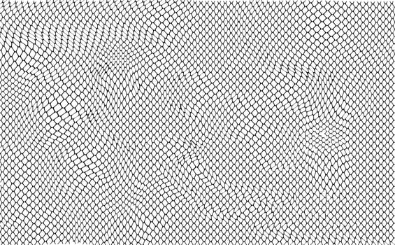 Snake skin pattern. Snake scales. Black and white. vector