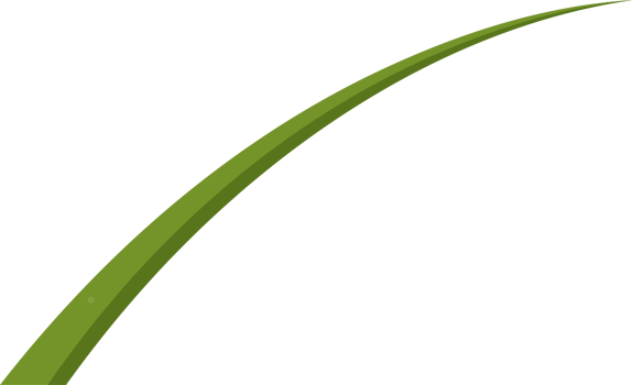 Cartoon grass leaves clip art png