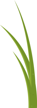 Cartoon grass leaves clip art png