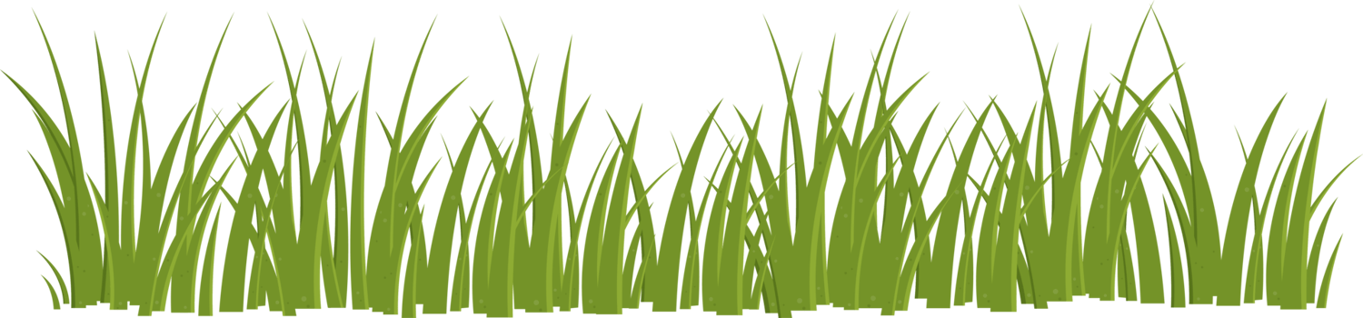 Cartoon grass leaves clip art png