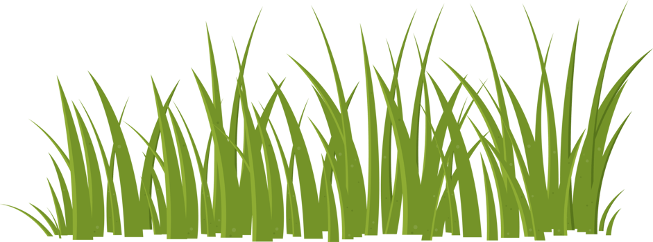 Cartoon grass leaves clip art png