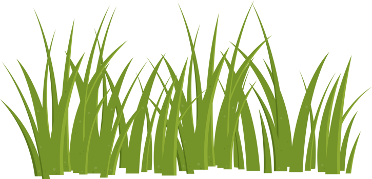 Cartoon grass leaves clip art png