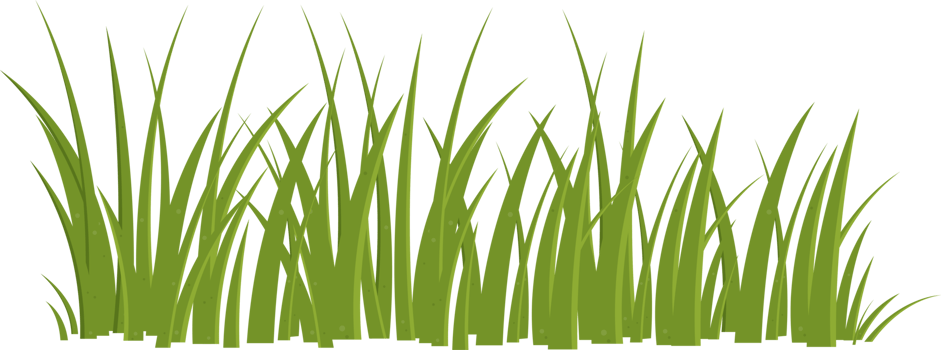 Cartoon grass leaves clip art png