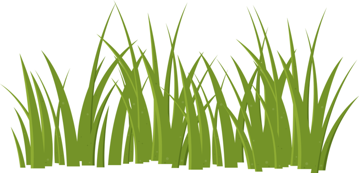 Cartoon grass leaves clip art png