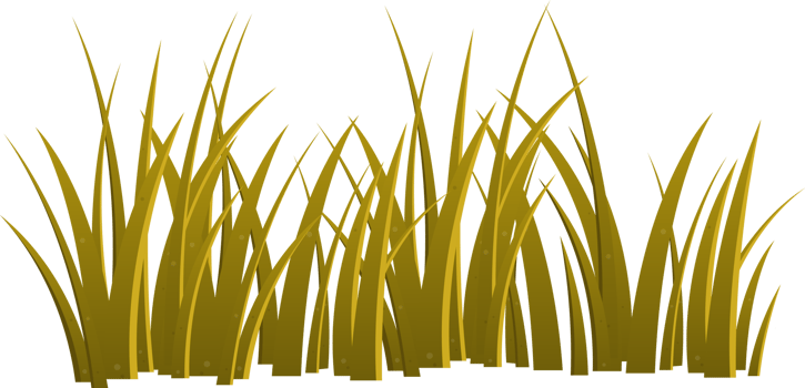 Cartoon grass leaves clip art png